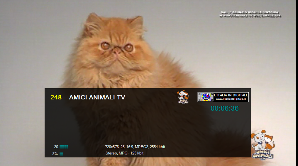 https://lh3.googleusercontent.com/-6B2G69LT97s/Vl0u8yQt_LI/AAAAAAAIvn8/mYxBCSwo5Jo/s1016-Ic42/AMICI%252520ANIMALI%252520TV%252520-%25252001%252520dicembre%252520-%25252000.06.37.png