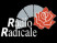 https://lh3.googleusercontent.com/-KhCmiYSPs3U/VRaGazrx6WI/AAAAAAAHVYI/GdYitK0mE14/s1600/RADIO%2520RADICALE%252052.jpg
