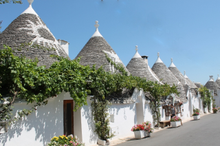 https://lh3.googleusercontent.com/-mEz1DMyH0uU/V10wOJHqwoI/AAAAAAAJU4E/T33tq9EWdkcdohQXhr69wAZA8rmV_JfhgCCo/s1600/ALBEROBELLO.png