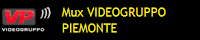 MUX VIDEOGRUPPO PIEMONTE