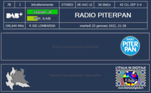 11 - RADIO PITERPAN