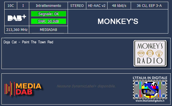 13-MONKEY'S 1