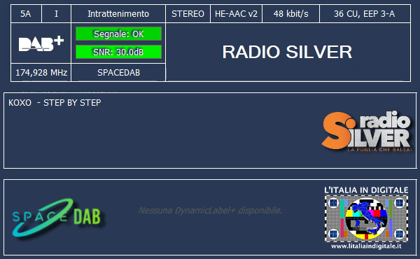 22-RADIO SILVER