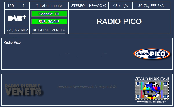 16-RADIO PICO