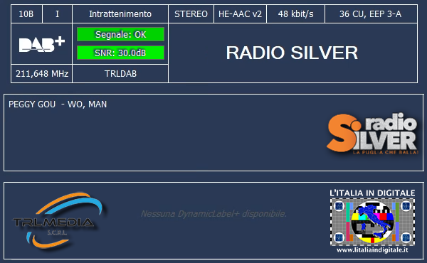 12-RADIO-SILVER